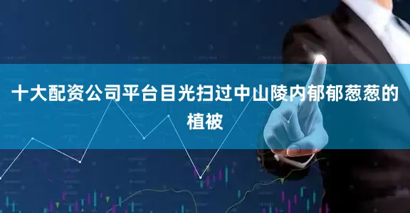 十大配资公司平台目光扫过中山陵内郁郁葱葱的植被