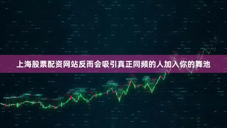 上海股票配资网站反而会吸引真正同频的人加入你的舞池