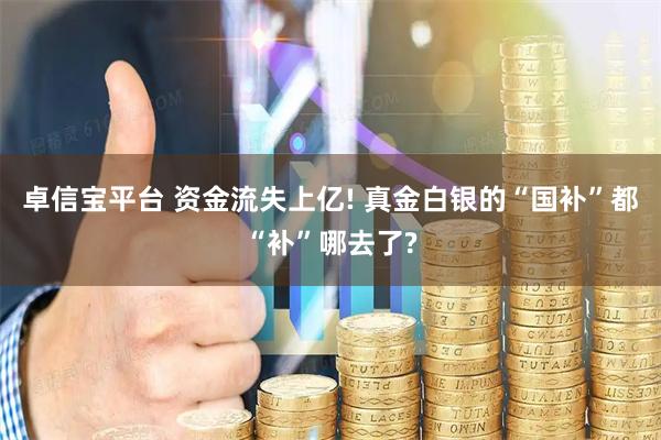 卓信宝平台 资金流失上亿! 真金白银的“国补”都“补”哪去了?