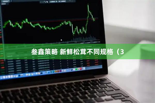叁鑫策略 新鲜松茸不同规格（3